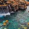 Disneyland Finding Nemo Submarine Voyage photo, October 2011