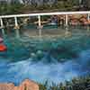 Disneyland Finding Nemo Submarine Voyage photo, October 2011