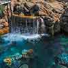 Disneyland Finding Nemo Submarine Voyage photo, October 2011