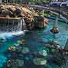 Disneyland Finding Nemo Submarine Voyage photo, October 2011