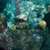 Finding Nemo Submarine Voyage May 2012