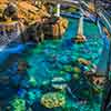 Disneyland Finding Nemo Submarine Voyage photo, January 2012