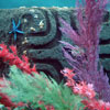 Finding Nemo Submarine Voyage, September 2008
