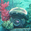 Finding Nemo Submarine Voyage, September 2008