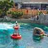 Disneyland Finding Nemo Submarine Voyage construction, May 12, 2007