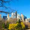 Central Park in New York City April 2011