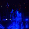 Disneyland Fantasmic Photo, First performance June 30, 2012