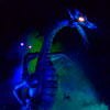 Disneyland Fantasmic Photo, First performance June 30, 2012