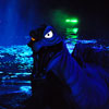 Disneyland Fantasmic Photo, September 25, 2009