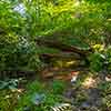 Sharp's Wood Preserve June 2014