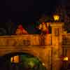 Disneyland Pirates of the Caribbean Wench Auction onlookers November 2015