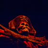 Jolly Roger in Disneyland Pirates of the Caribbean attraction photo, October 2012