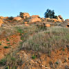 Mt. Rubidoux in Riverside, Califoria March 2012