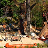 Indian Settlement, January 2007