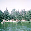 Disneyland Rivers of America Indian Settlement, 1965