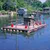 Disneyland Rivers of America Tom Sawyers Island raft, June 1961