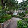 Balboa Park Zoro Garden, August 2024