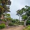 Balboa Park Zoro Garden, August 2024