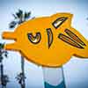 Ocean Beach in San Diego, March 2025