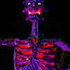 San Diego South Park Horror House, October 2024