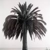 Santa Barbara, 1955