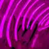Meow Wolf Art Complex, Santa Fe, March 2016