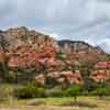 Sedona, Arizona, April 2016