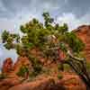 Sedona, Arizona, April 2016