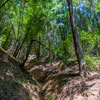 Armstrong Redwoods State Natural Reserve photo, July 2013