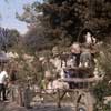 Disneyland Snow White Wishing Well, April 1962 photo