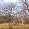 Valley Forge Pennsylvania